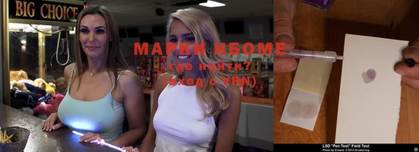 сатива Белокуриха