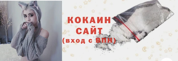 сатива Белокуриха
