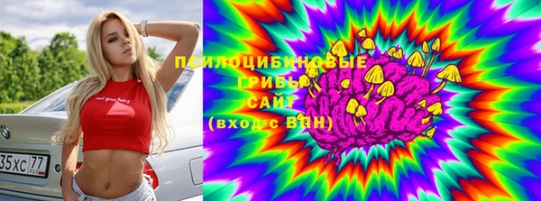 2c-b Белоозёрский