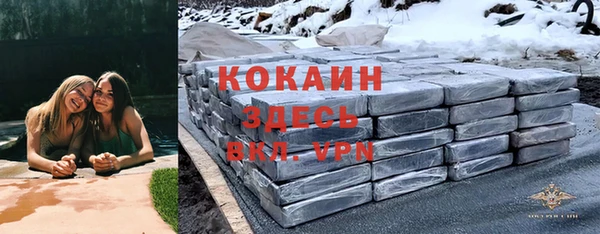 сатива Белокуриха