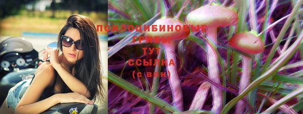ALPHA-PVP Богородицк